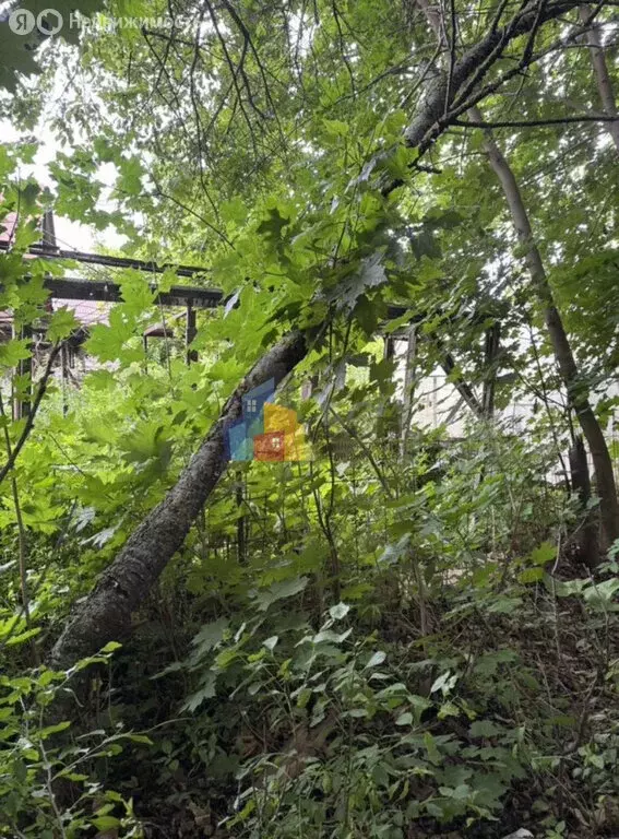 Участок в Тульская область, городской округ Тула, село Осиновая Гора ... - Фото 1