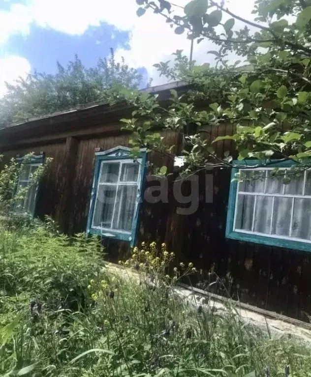 Дом в Алтай, Шебалинский район, с. Шебалино Алтайская ул., 85 (68 м) - Фото 1