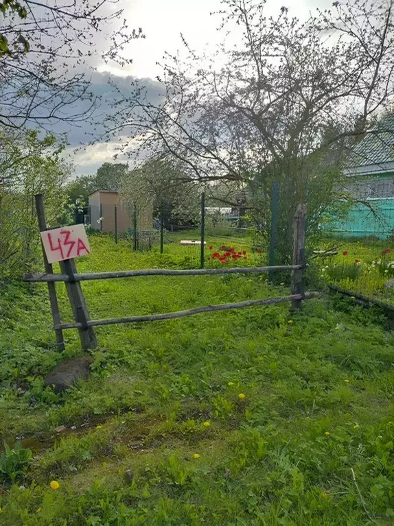 Участок в Новгородская область, Батецкий муниципальный округ, д. ... - Фото 0