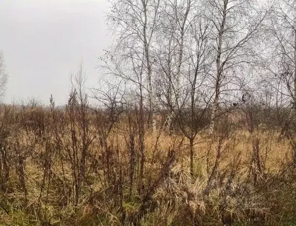 Участок в Московская область, Серпухов городской округ, д. Нефедово  ... - Фото 1