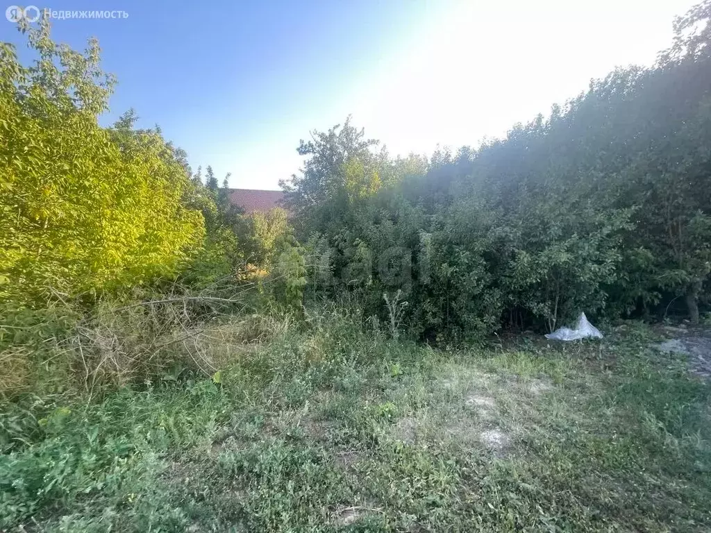 Участок в Белгородский район, городское поселение Северный, СТ ... - Фото 1