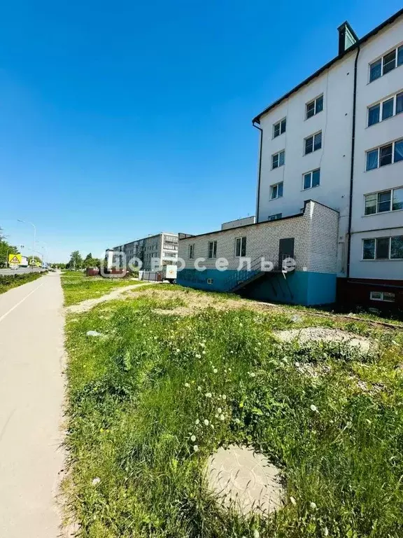 Помещение свободного назначения в Рязанская область, Рыбное Большая ... - Фото 1