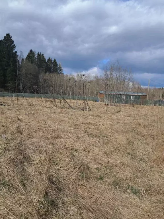 Участок в Ленинградская область, Волосовский район, Клопицкое с/пос  ... - Фото 2