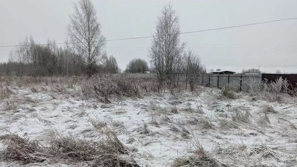 Участок в Новгородская область, Новгородский район, Ракомское с/пос, ... - Фото 1
