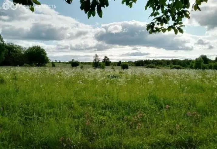 Участок в Костромская область, Чухломское сельское поселение, деревня ... - Фото 1