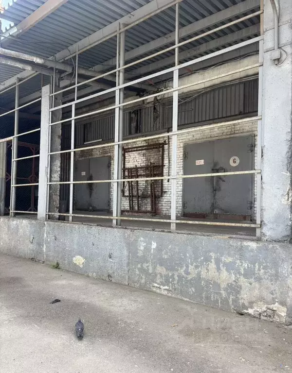 Склад в Санкт-Петербург ул. Трефолева, 2БН (216 м) - Фото 1