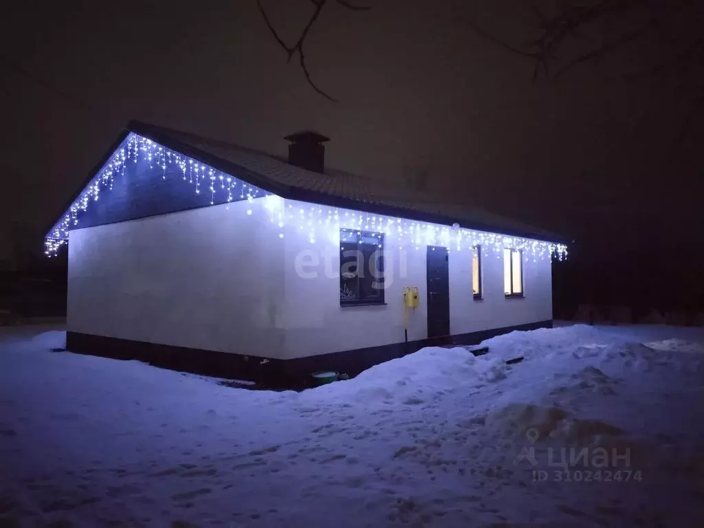 Дом в Воронежская область, с. Новая Усмань ул. Октябрьская (94 м) - Фото 0