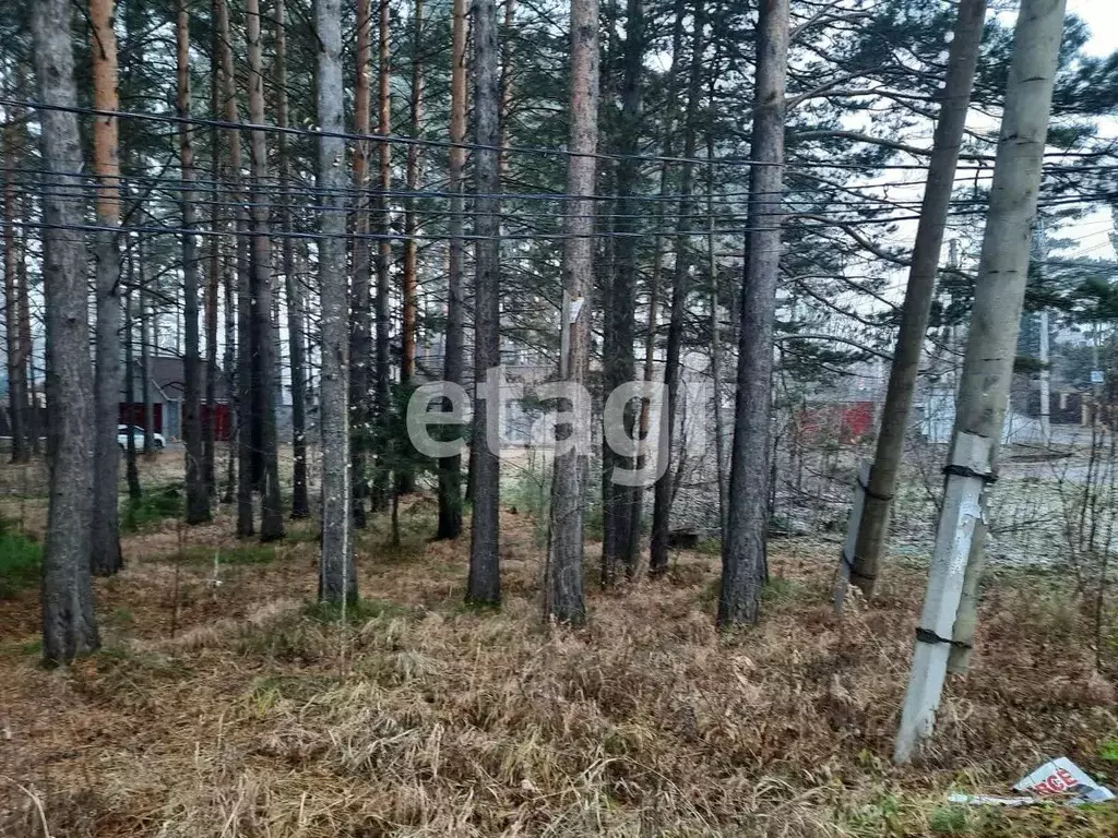 Участок в Красноярский край, Красноярск городской округ, пос. Минино  ... - Фото 1