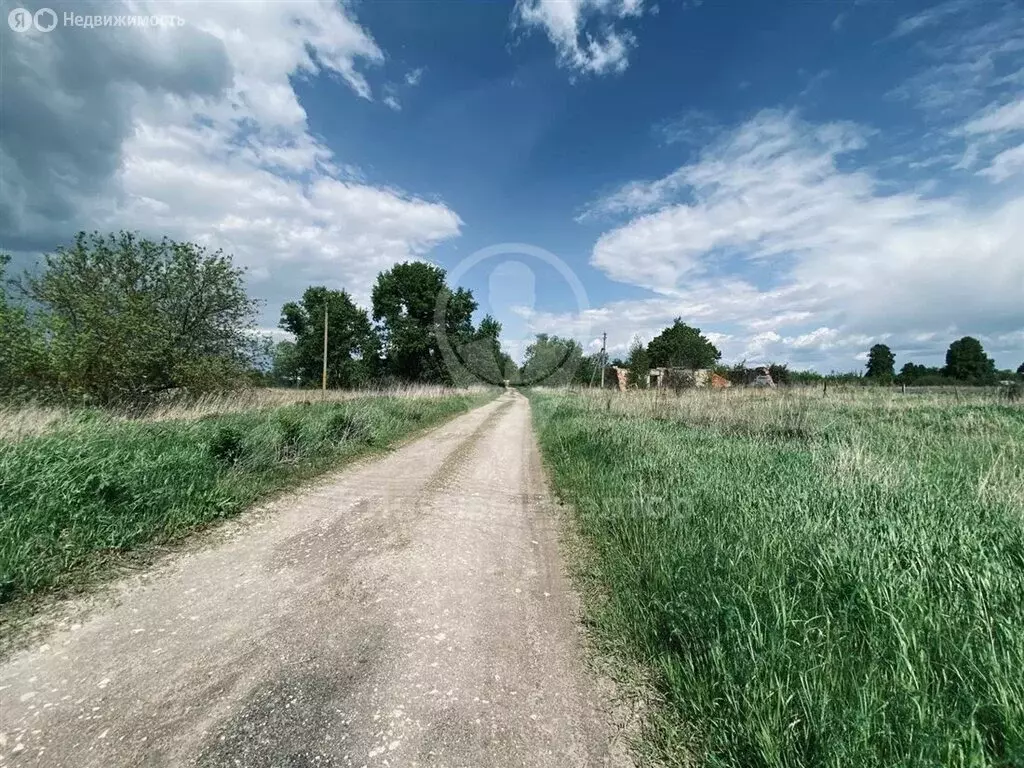 Участок в Рязанская область, Спасский муниципальный округ, село ... - Фото 1