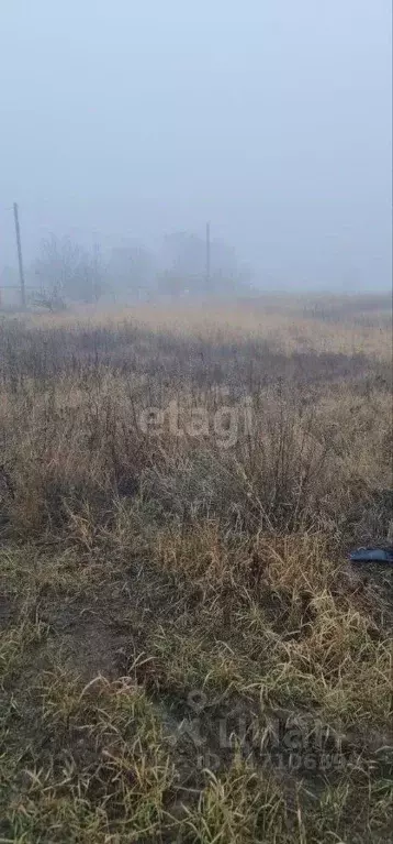 Участок в Белгородская область, Белгородский район, Комсомольское ... - Фото 0