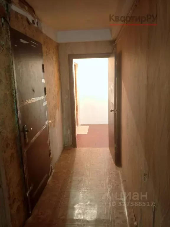 Комната Санкт-Петербург просп. Энгельса, 129К3 (11.0 м) - Фото 2