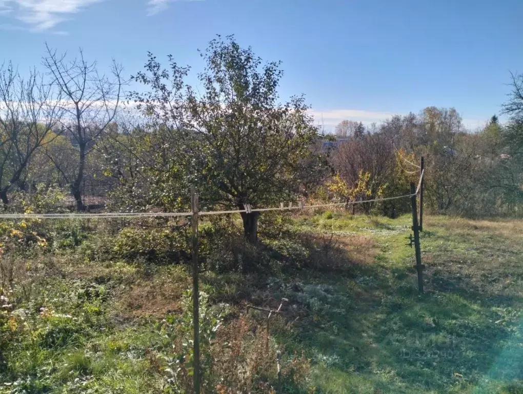 Дом в Курская область, Щигры ул. Лазарева, 2Б (120 м) - Фото 2
