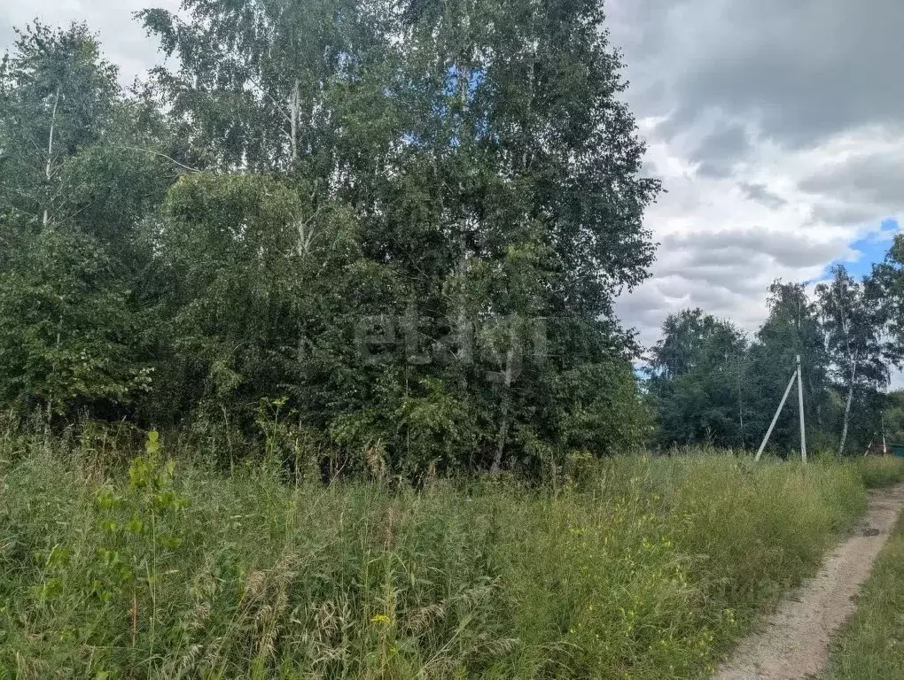 Участок в Новосибирская область, Новосибирский район, Морской ... - Фото 2