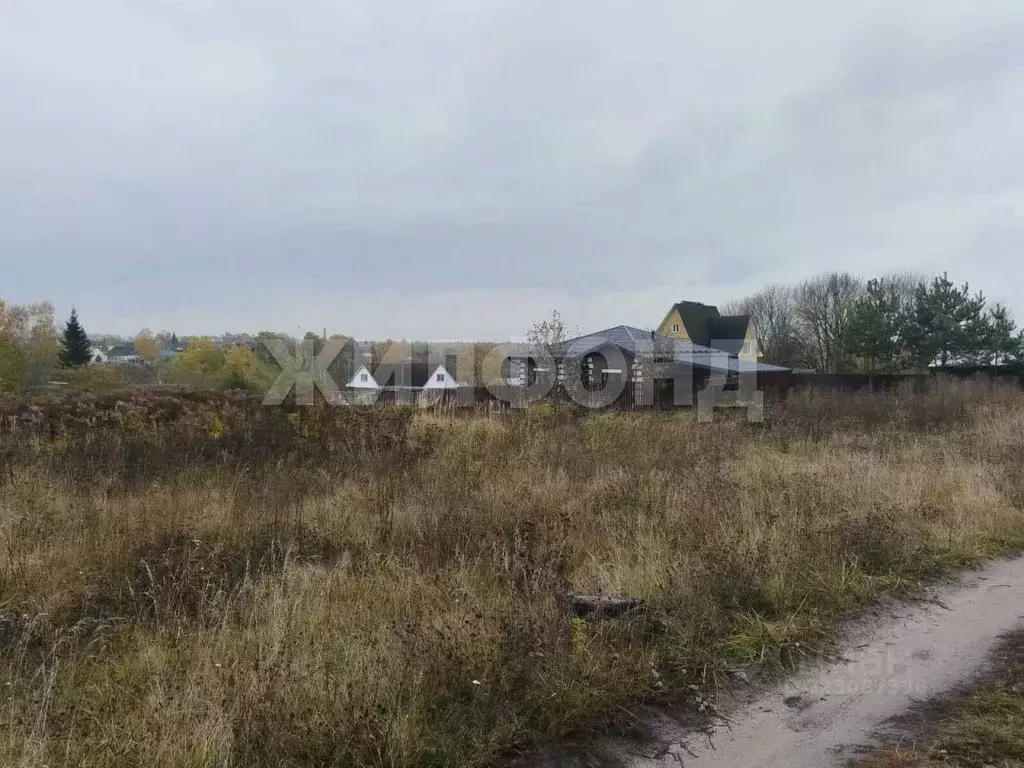 Участок в Брянская область, Брянский район, Добрунское с/пос, д. ... - Фото 2