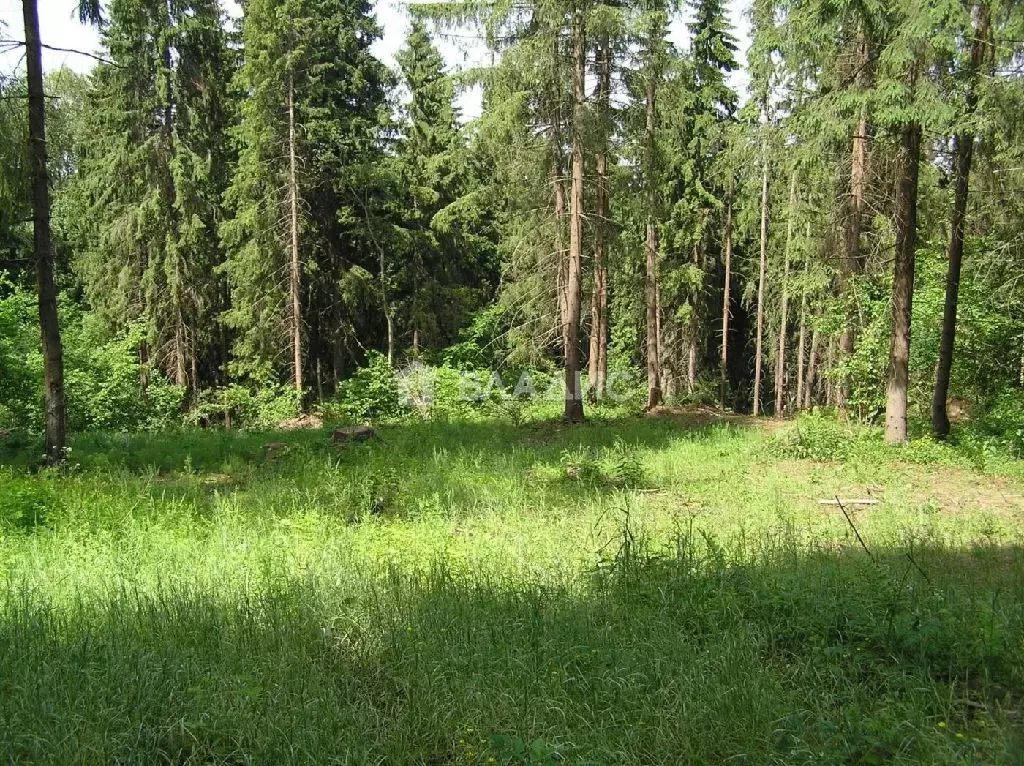 Продается участок в д. Котово - Фото 2