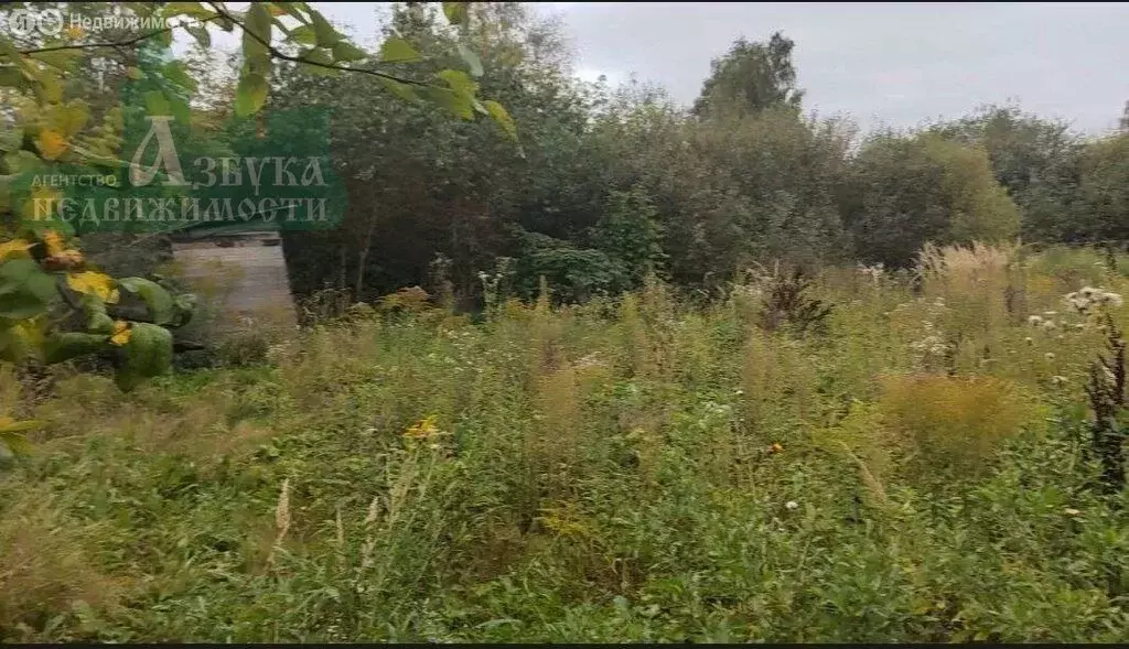 Участок в Смоленск, посёлок Вишенки, с86 (9.5 м) - Фото 1