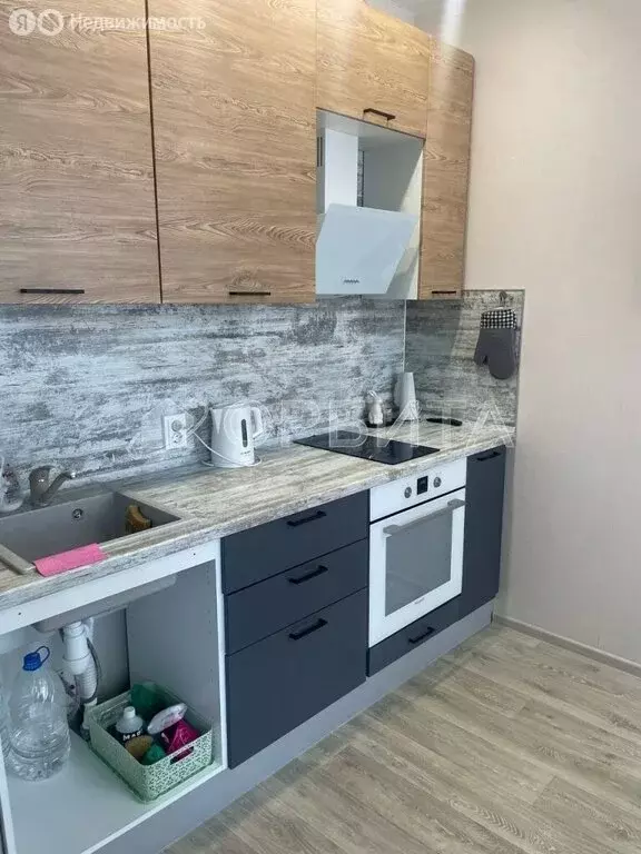 Квартира-студия: деревня Патрушева, улица Александра Пушкина, 10 (23.3 ... - Фото 2