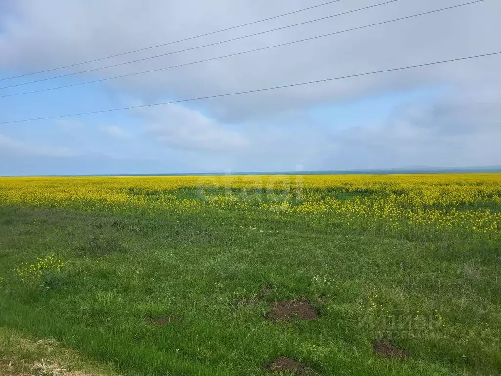 Участок в Краснодарский край, Темрюкский район, Фонталовское с/пос, ... - Фото 2