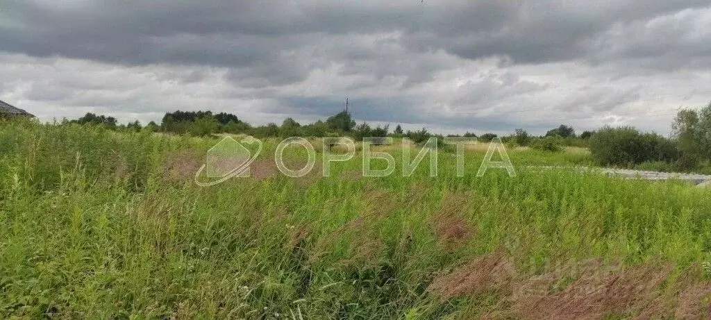 Участок в Тюменская область, Тюменский муниципальный округ, д. ... - Фото 1