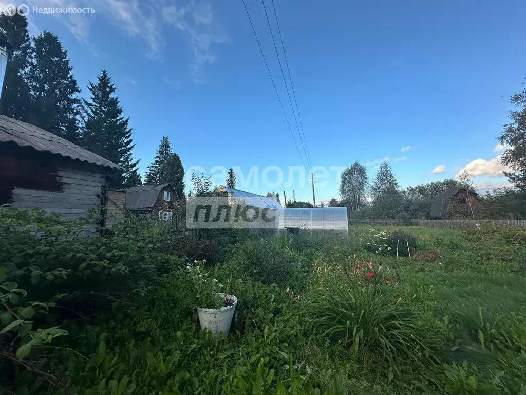 Участок в Томск, садовое товарищество Роботрон (7 м) - Фото 1