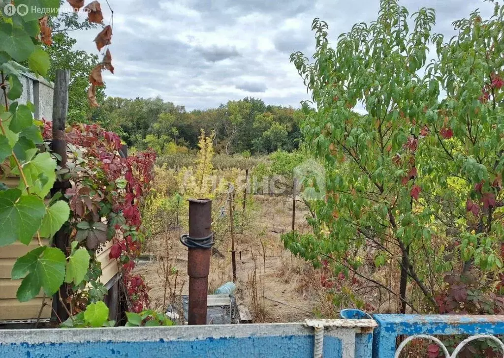 Дом в Михайловка, Лесная улица (70 м) - Фото 1