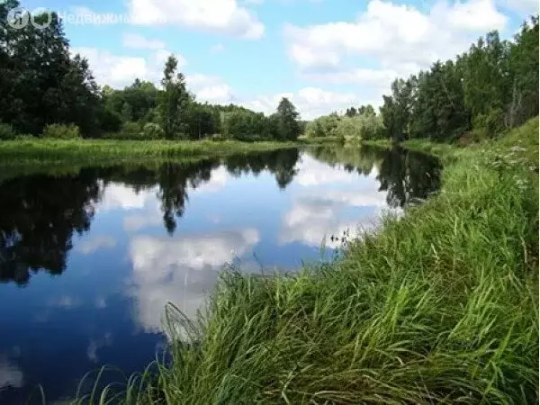 Участок в Тверская область, Бологовский муниципальный округ, деревня ... - Фото 1