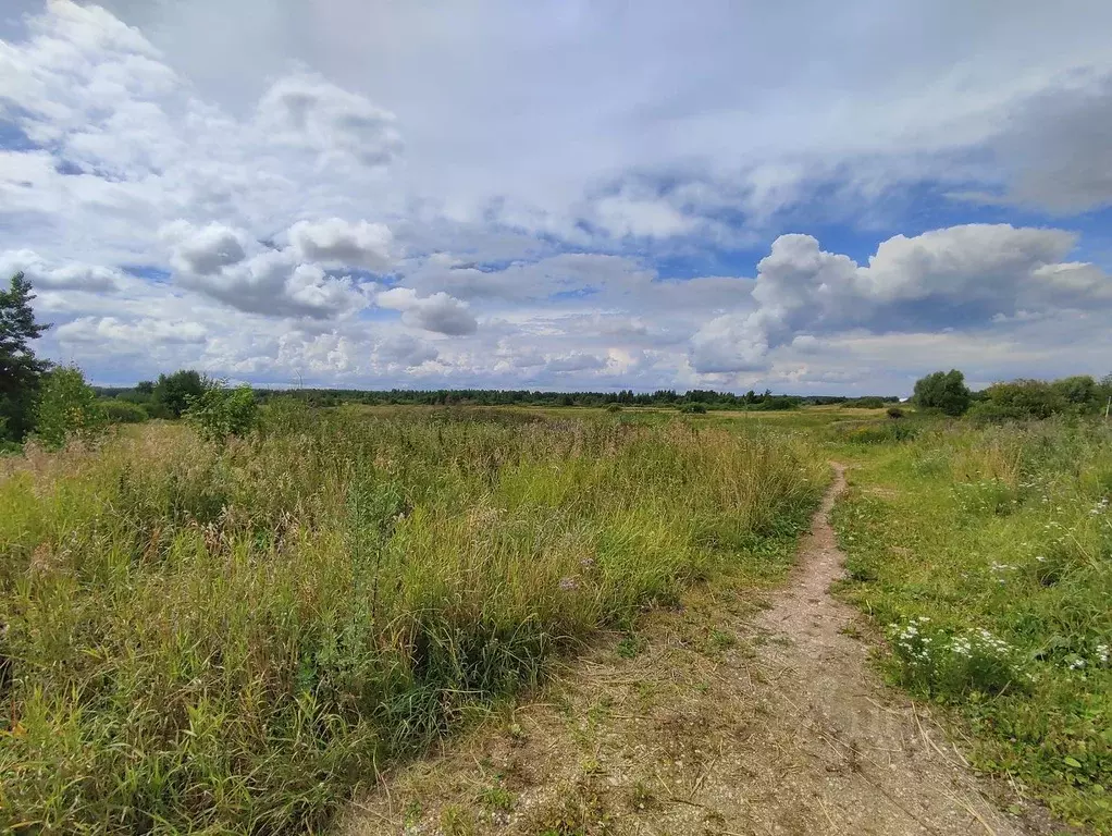 Участок в Новгородская область, Новгородский район, Савинское с/пос, ... - Фото 1