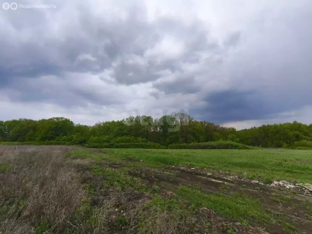 Участок в Белгородский район, село Стрелецкое (15 м) - Фото 0