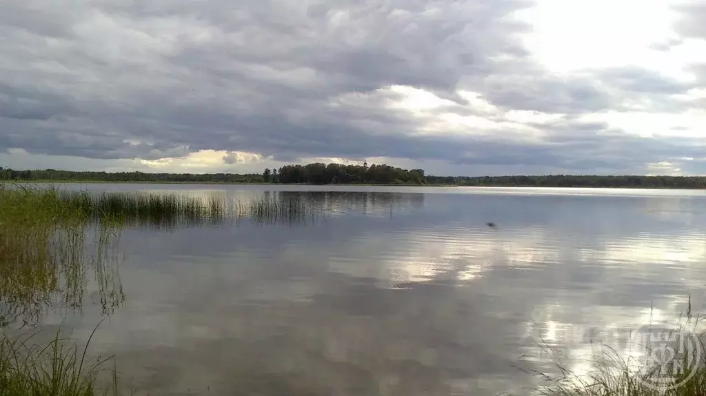 Участок в Ленинградская область, Лужский район, Скребловское с/пос, д. ... - Фото 2