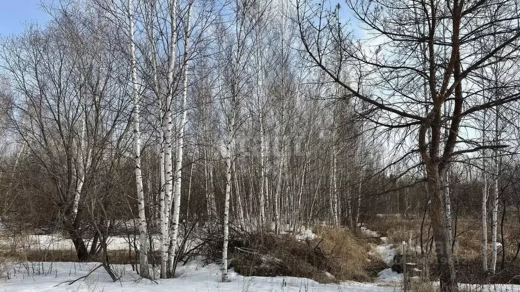 участок в амурская область, благовещенск (10.0 сот.) - Фото 0