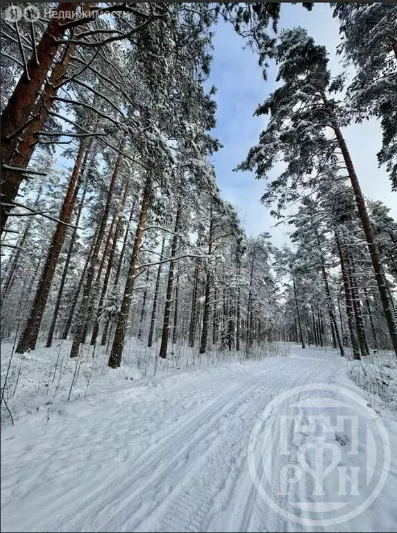 Участок в Выборгский район, Полянское сельское поселение, посёлок ... - Фото 1