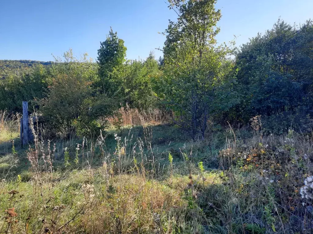 Участок в Саратовская область, Базарно-Карабулакский район, ... - Фото 2