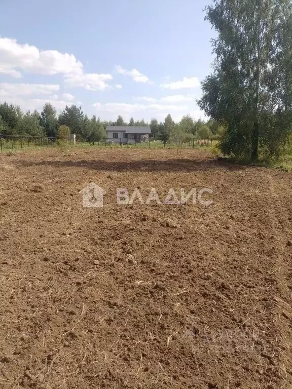 Участок в Московская область, Коломна городской округ, д. Барановка ... - Фото 2