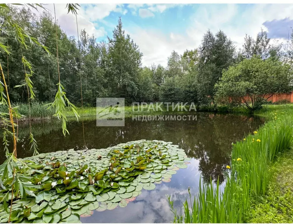 Продается участок в г. Королев - Фото 1