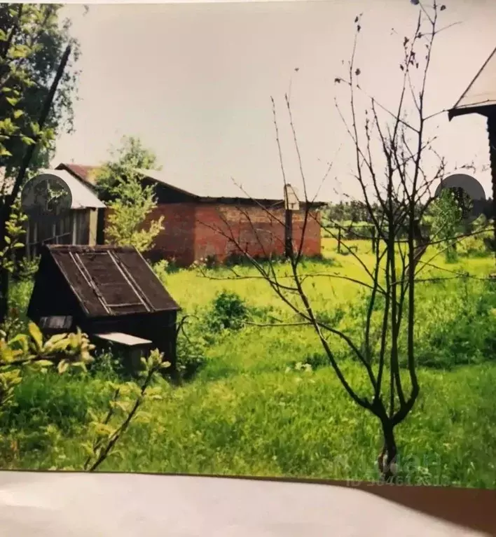 Участок в Ленинградская область, Выборгский район, Селезневское с/пос, ... - Фото 0