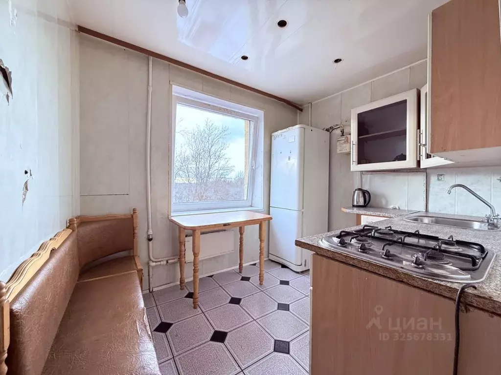 1-к кв. Калининградская область, Светлогорский городской округ, пос. ... - Фото 2