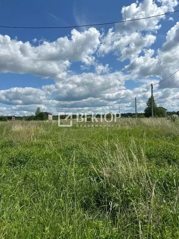 Участок в Костромская область, Кострома Соколиное Гнездо кп, 1 (7.0 ... - Фото 1