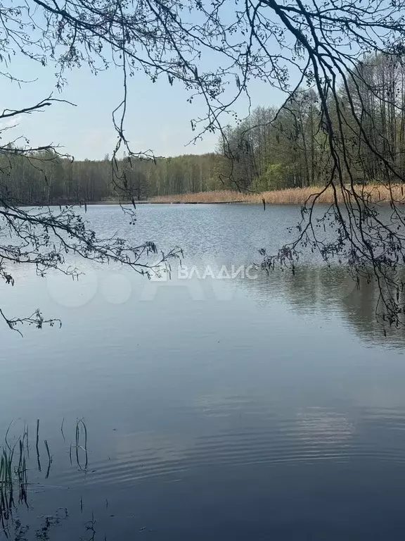 Участок 6 сот. (ИЖС) - Фото 1