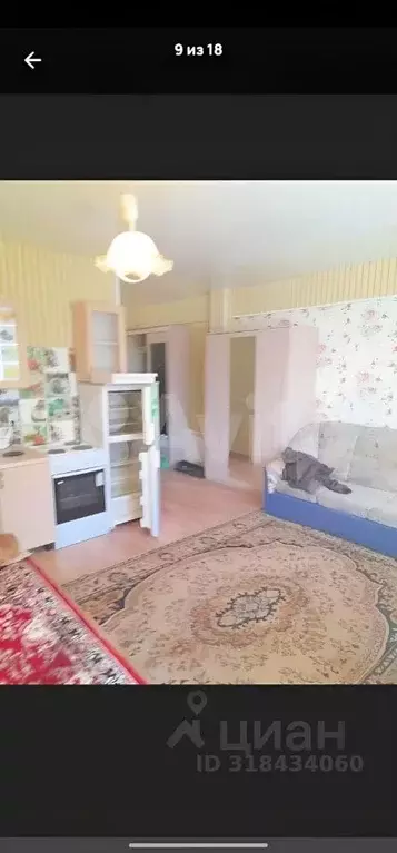 Студия Омская область, Омск ул. Малиновского, 18к2 (30.0 м) - Фото 1