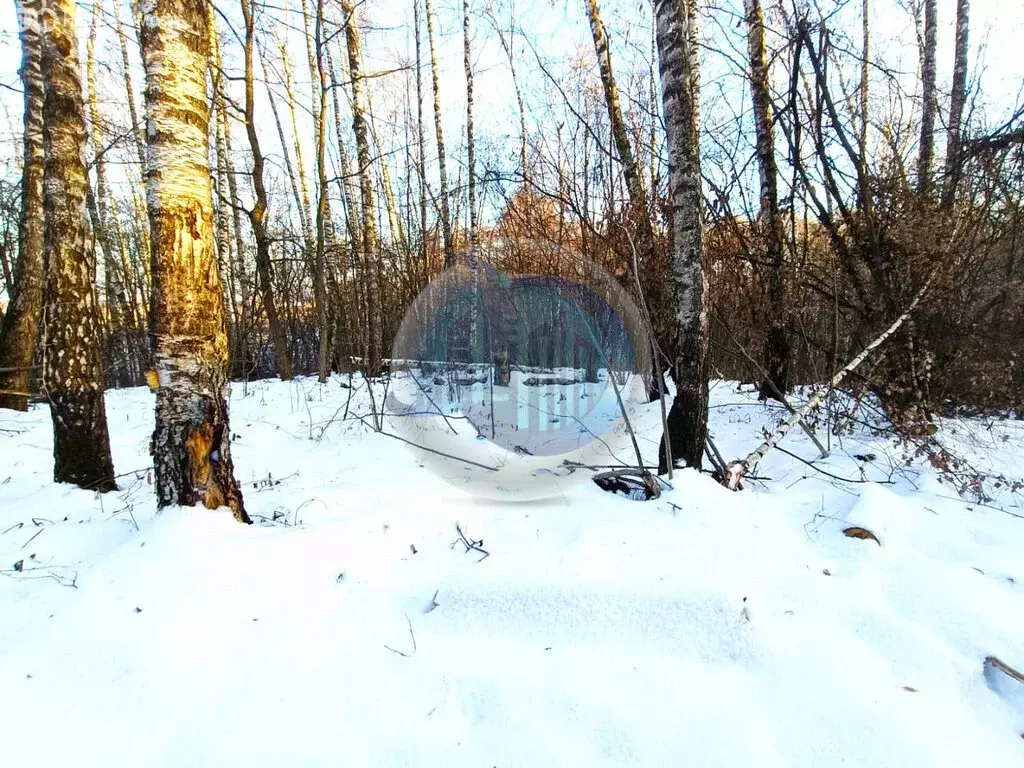 Участок в посёлок городского типа Мисайлово, Лесная улица (13.47 м) - Фото 0