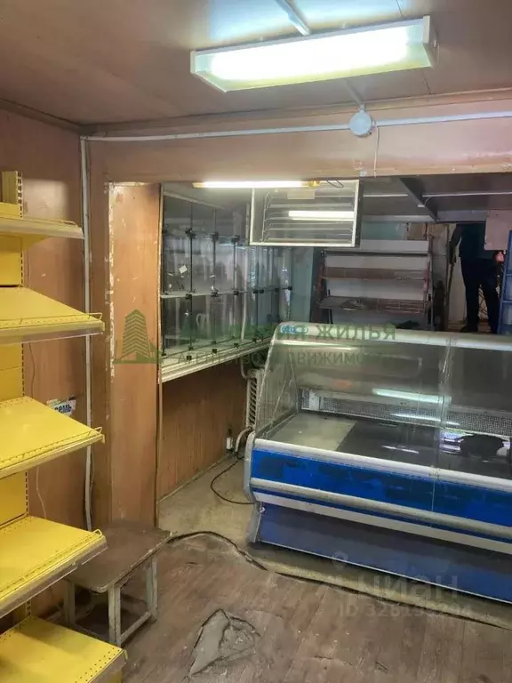 Помещение свободного назначения в Саратовская область, Саратов Луговая ... - Фото 1