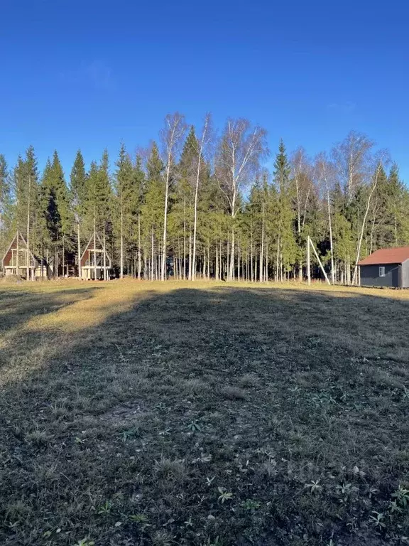 Участок в Московская область, Подольск городской округ, д. Пузиково, ... - Фото 1