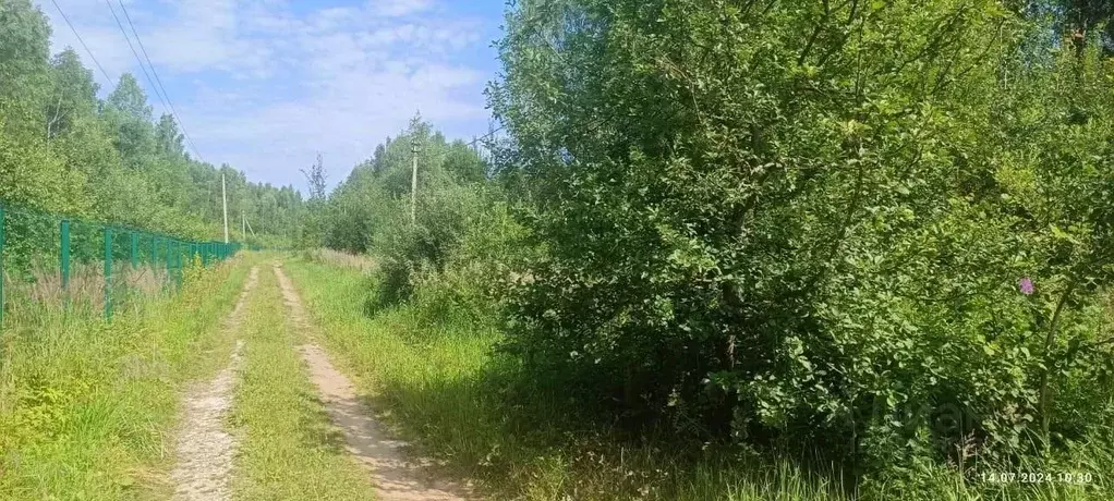 Участок в Московская область, Клин городской округ, Мадиец СНТ  ... - Фото 0