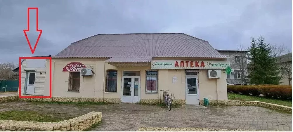 Помещение свободного назначения в Брянская область, Дубровка рп ул. ... - Фото 1