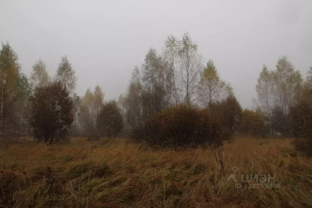 Участок в Московская область, Шаховская муниципальный округ, д. ... - Фото 1