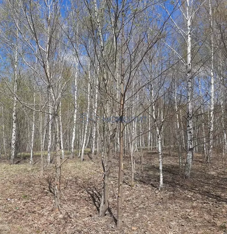 Участок в Нижегородская область, Нижний Новгород городской округ, д. ... - Фото 1