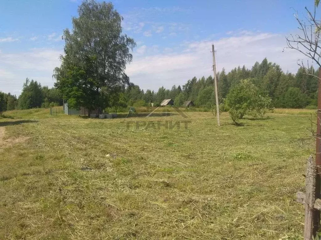 Участок в Новгородская область, Маловишерский район, Веребьинское ... - Фото 2