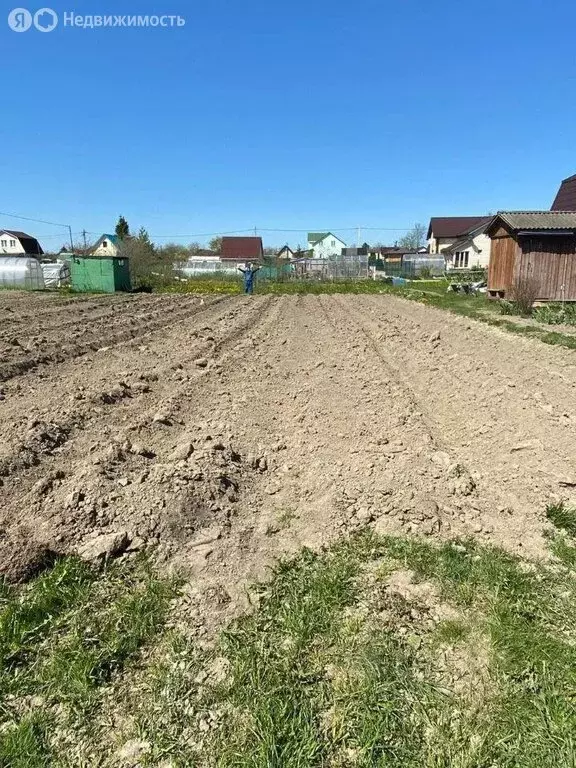 Участок в Ленинградская область, Гатчинский муниципальный округ, ... - Фото 1
