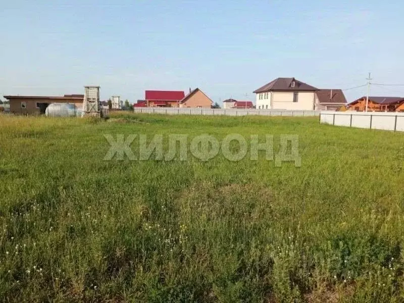 Участок в Новосибирская область, Ордынский район, с. Новопичугово ул. ... - Фото 0