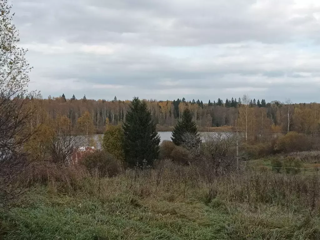 Участок в Новгородская область, Валдайский район, Ивантеевское с/пос, ... - Фото 1